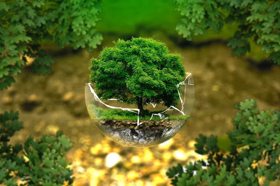 Segurança do Trabalho - Meio Ambiente
